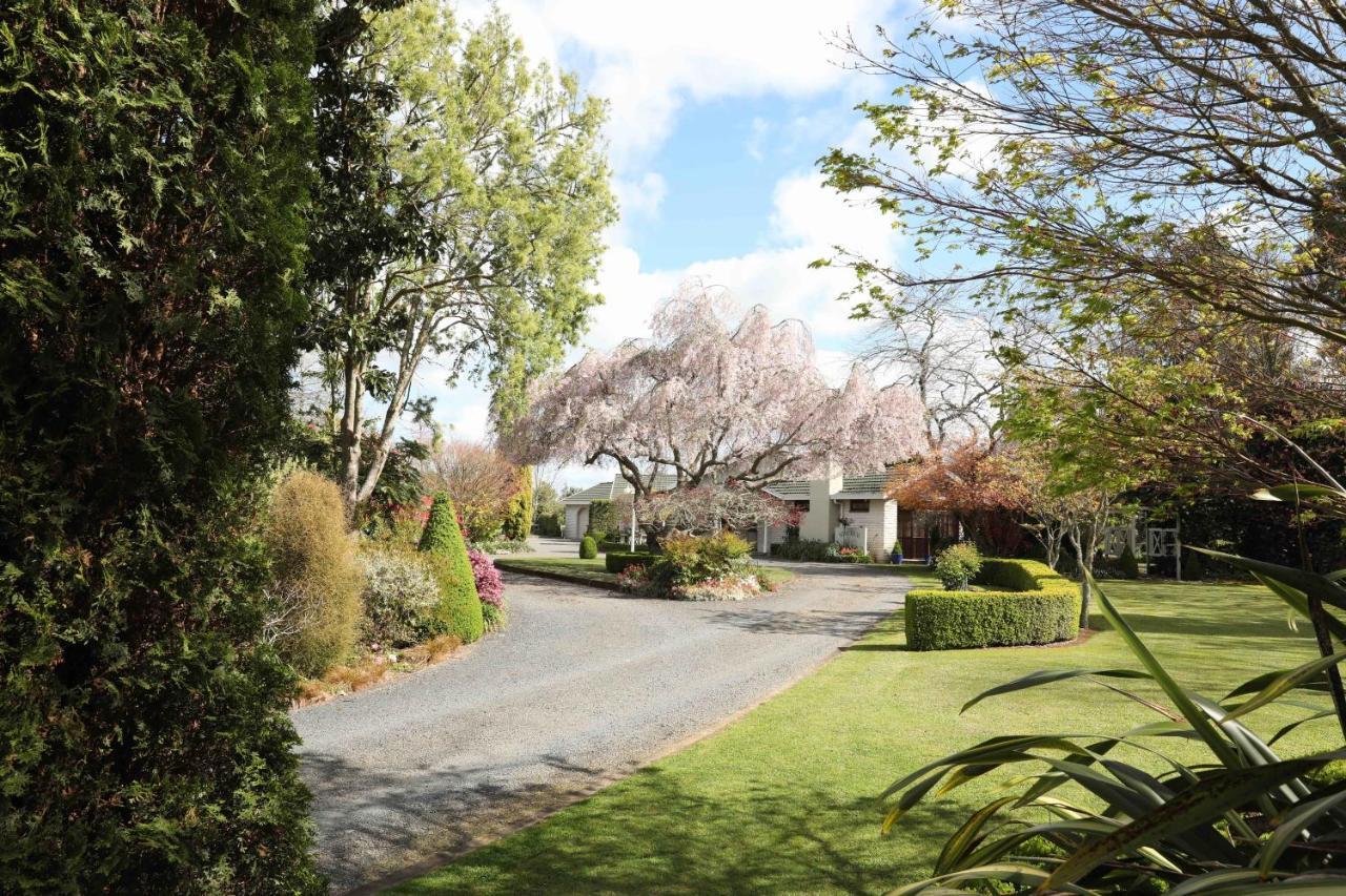 Somersal Bed & Breakfast Pirongia Extérieur photo