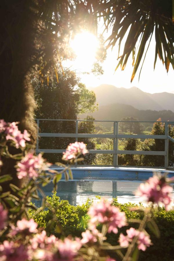 Somersal Bed & Breakfast Pirongia Extérieur photo